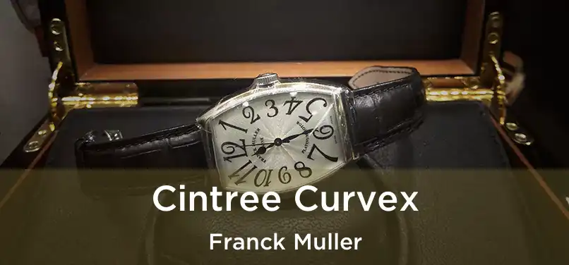  Cintree Curvex Franck Muller