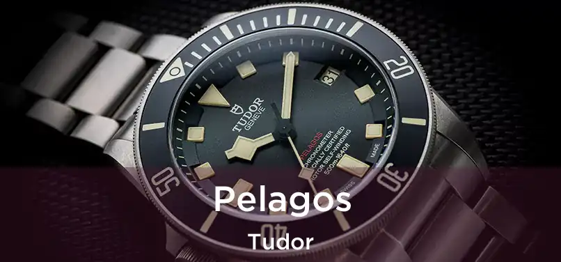 Pelagos Tudor